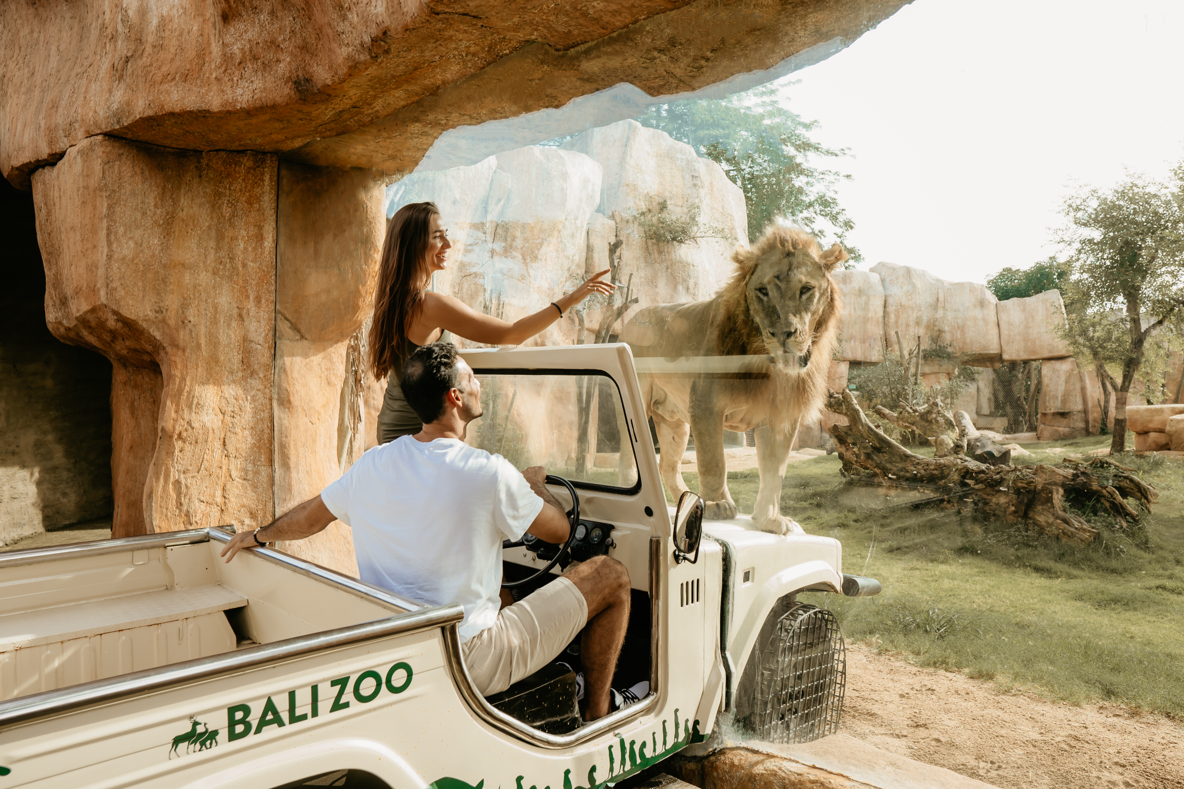 Zoo Explorer (Adult) - International